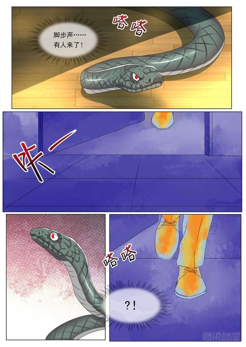 053话 一条蛇的视角-第56话