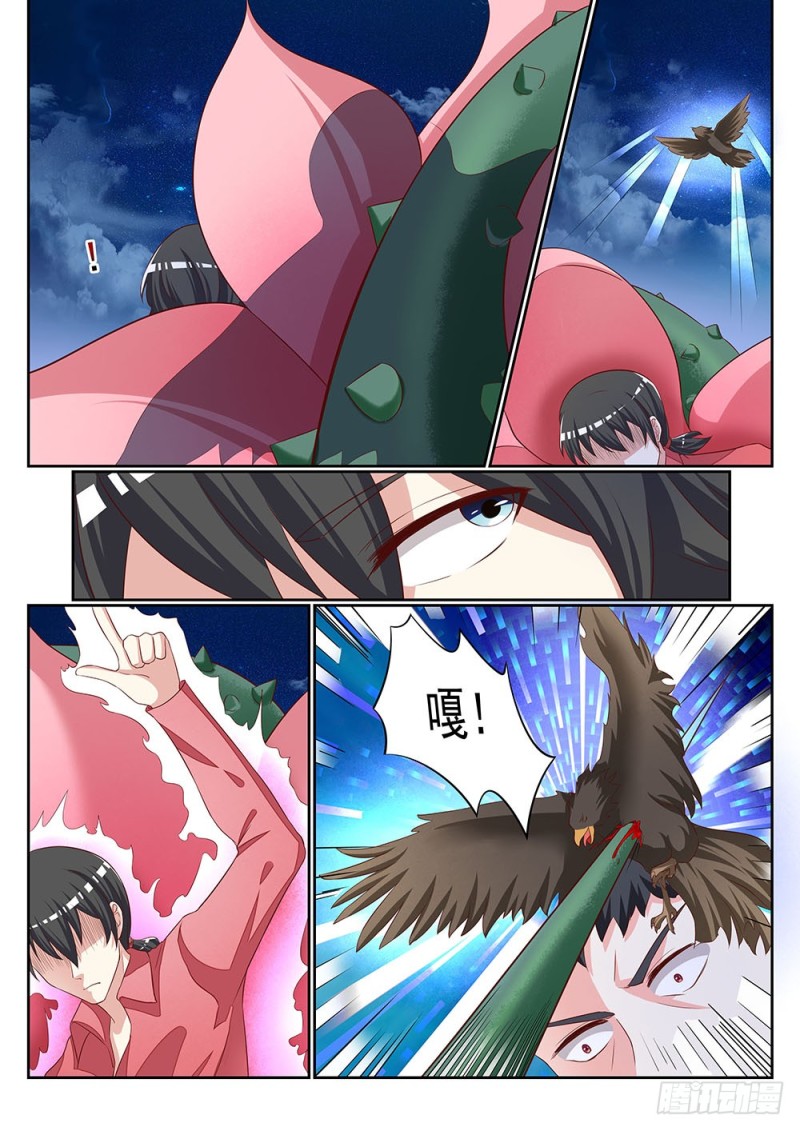 059话 植物大军VS动物大军-第62话