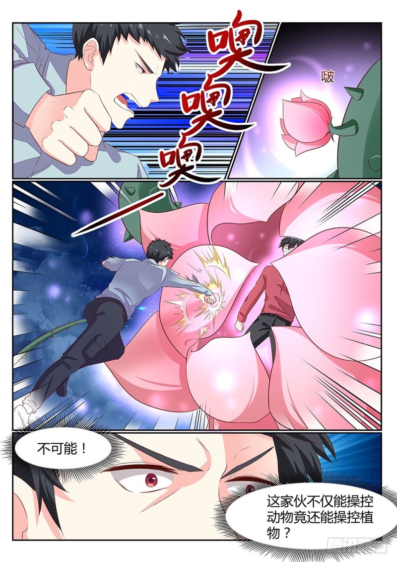 059话 植物大军VS动物大军-第62话