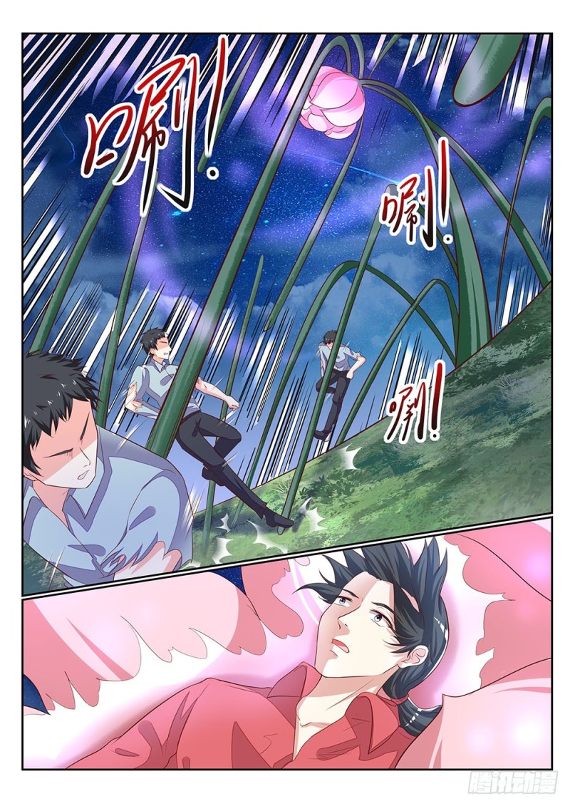 059话 植物大军VS动物大军-第62话