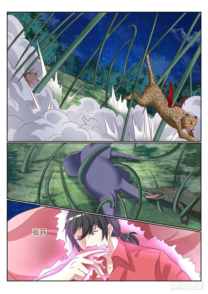 059话 植物大军VS动物大军-第62话