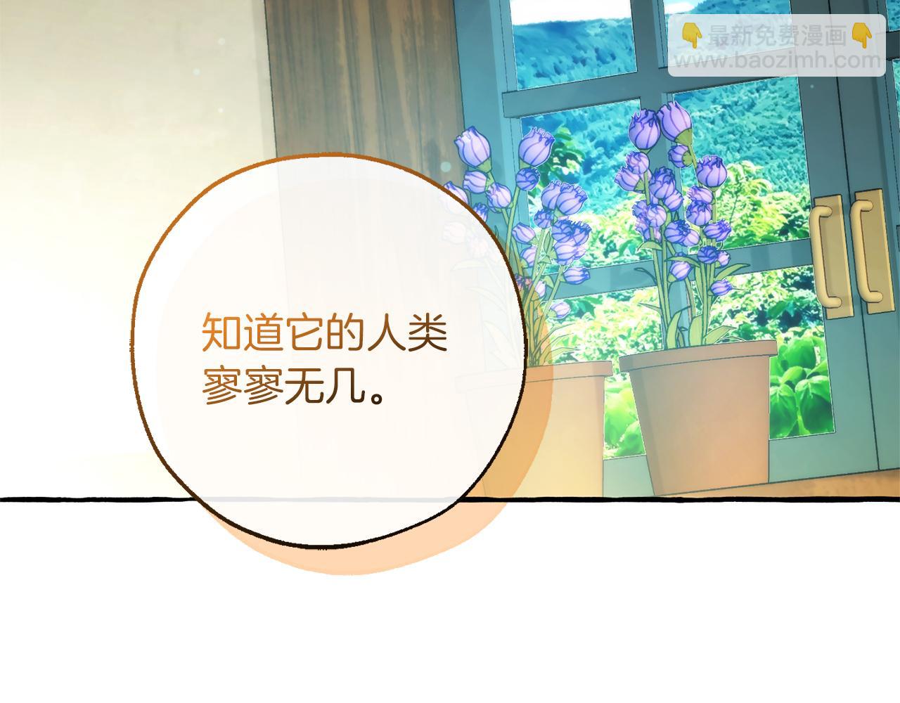 成爲伯爵家的廢物 - 第136話 去見黃金龍(3/5) - 6