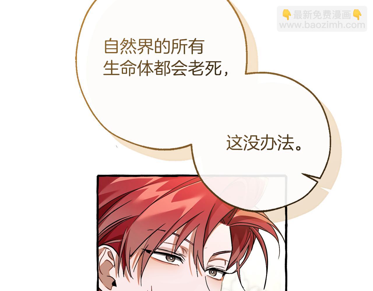 成爲伯爵家的廢物 - 第146話 預料之外的見面(1/4) - 4