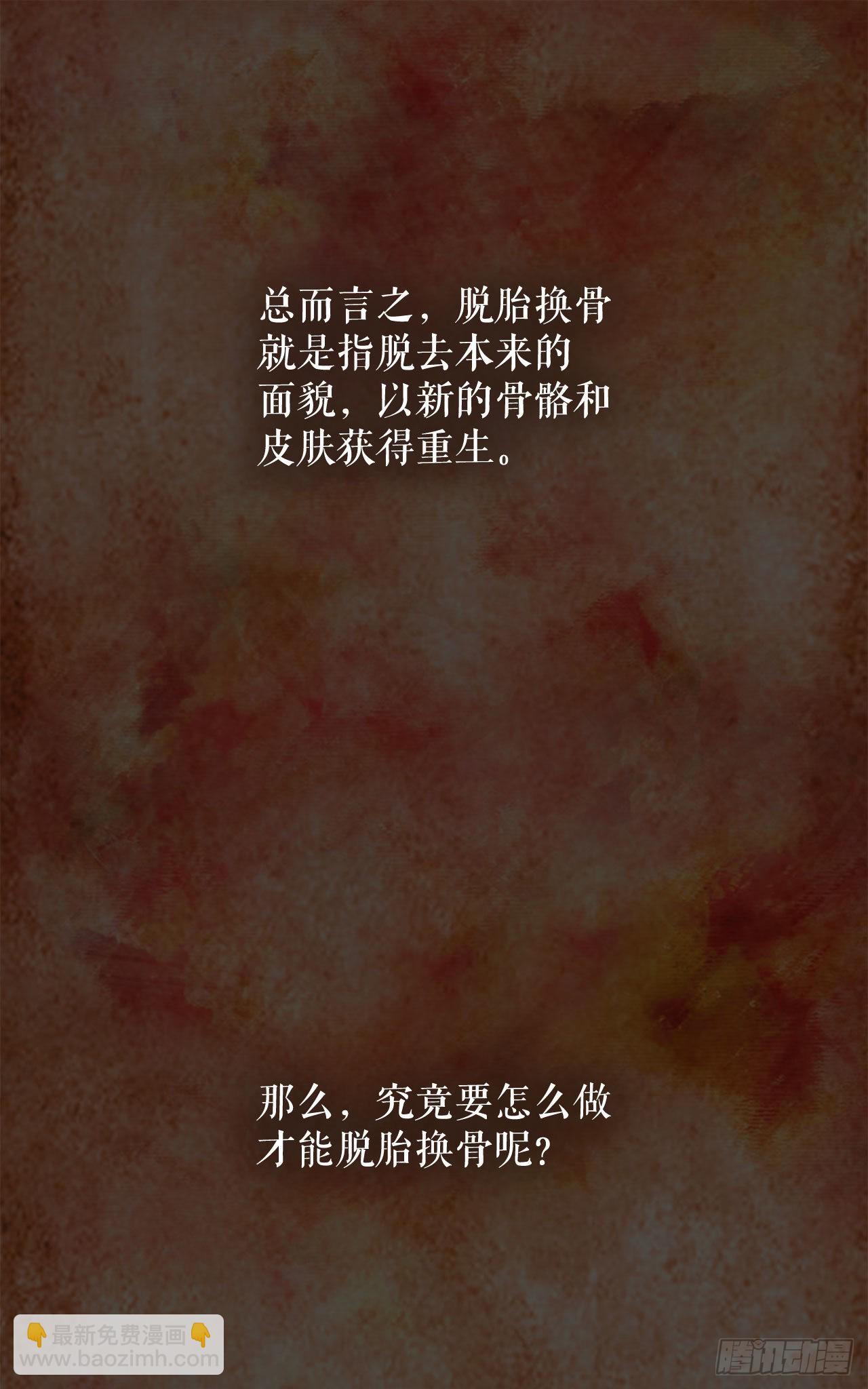 1.脱胎换骨(1/2)-第2话