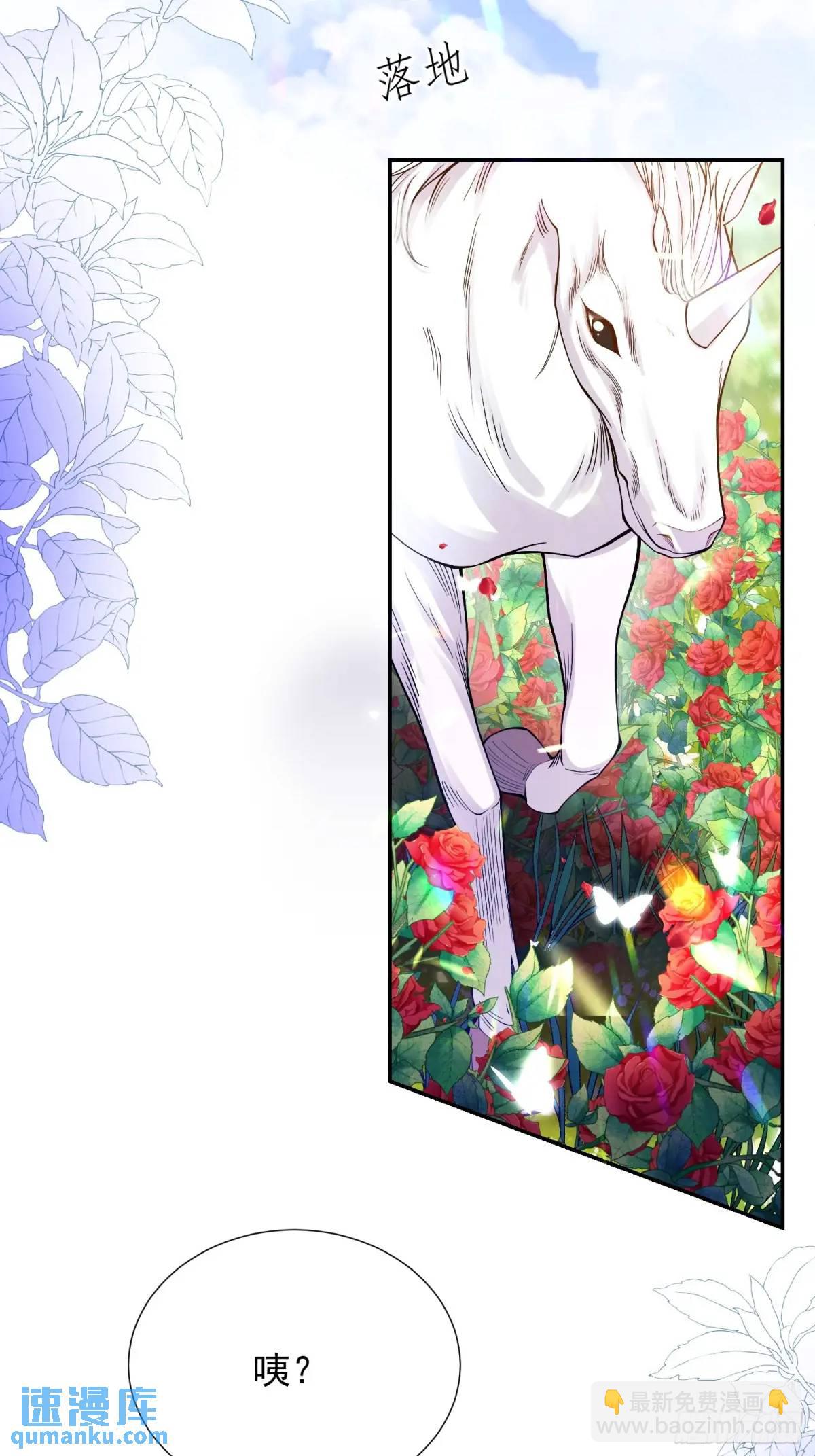 第46话：花海(1/2)-第46话