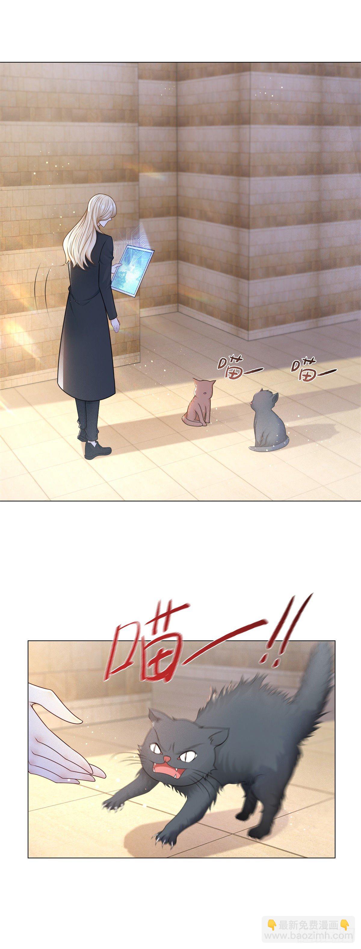 第27话 不怀好意的路易斯-第28话