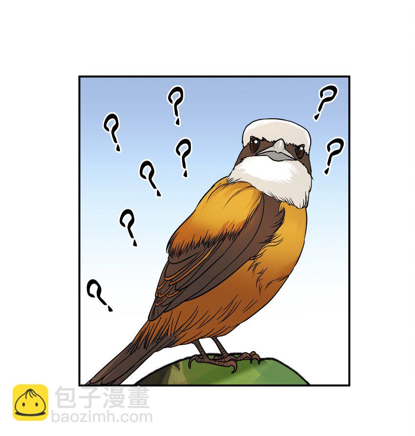 Chap.26 不是爸爸，是伯劳鸟-第28话