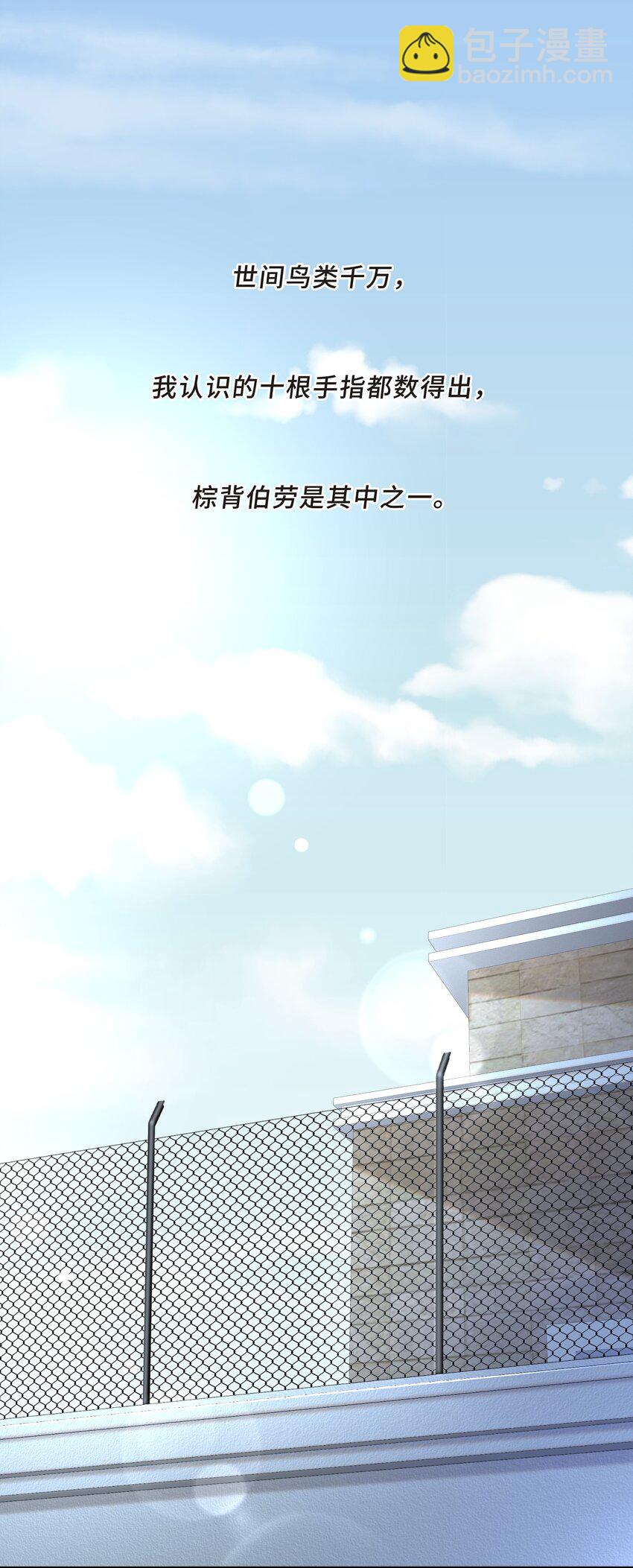 Chap.26 不是爸爸，是伯劳鸟-第28话