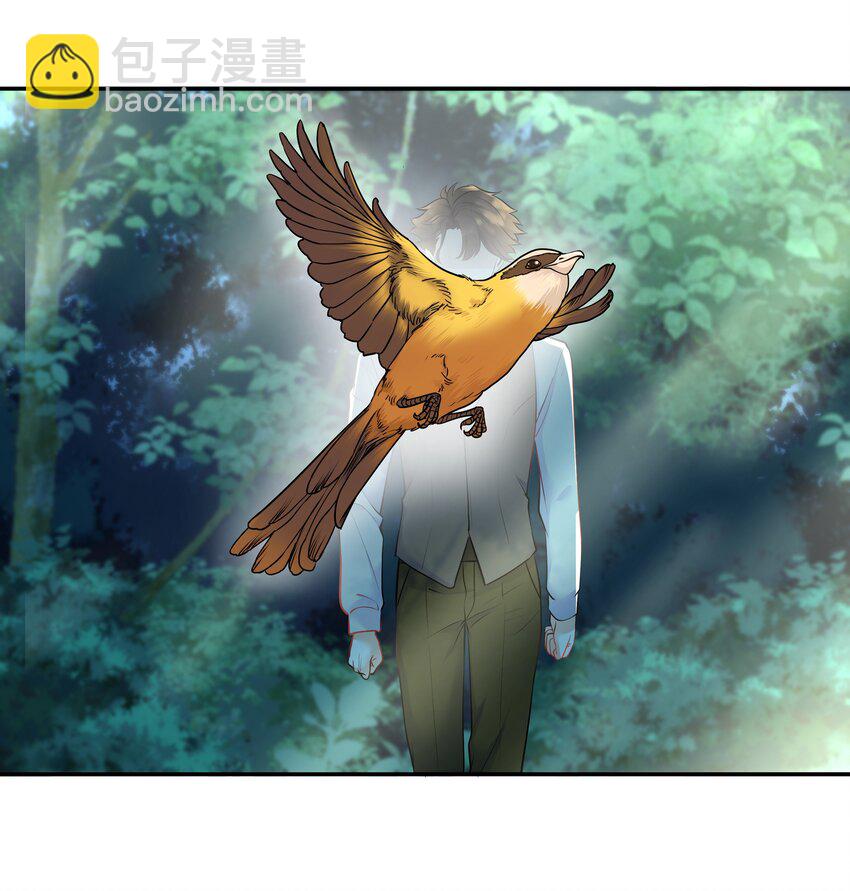 Chap.26 不是爸爸，是伯劳鸟-第28话