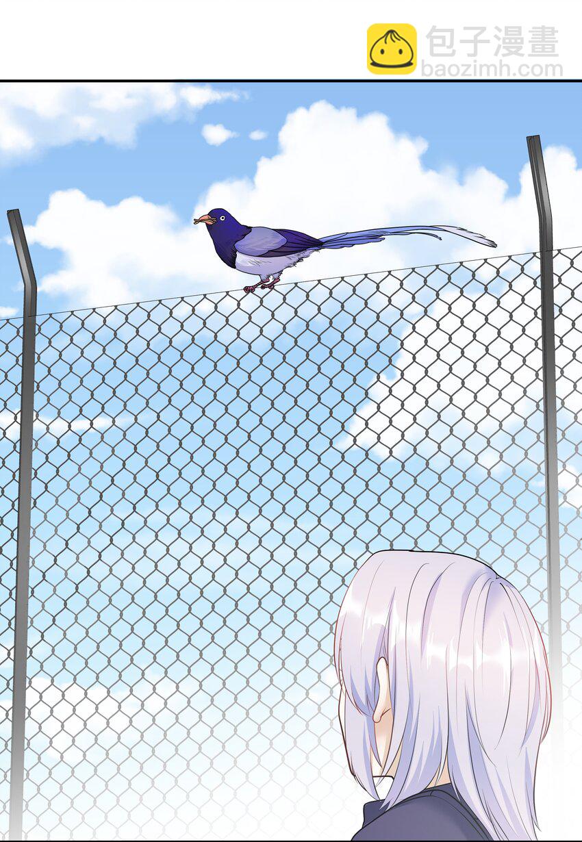 Chap.26 不是爸爸，是伯劳鸟-第28话