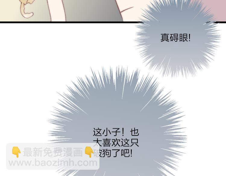 狗狗番外篇-第34话