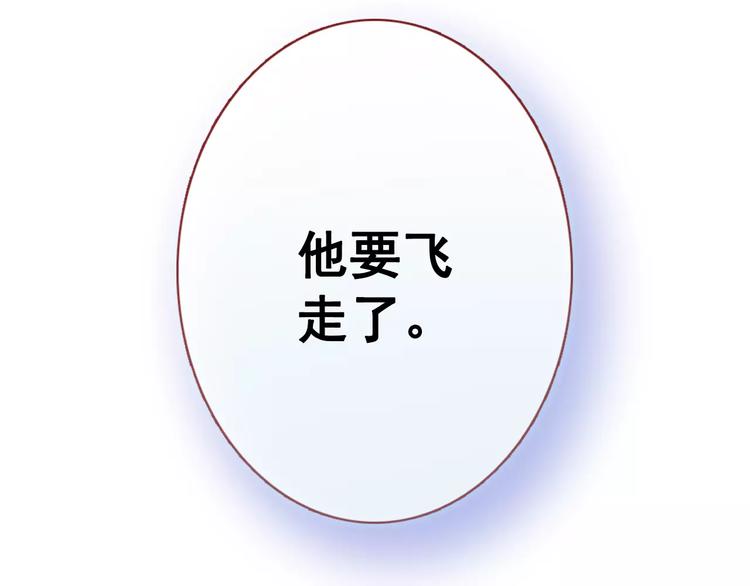 第35话 放他去飞(1/2)-第36话