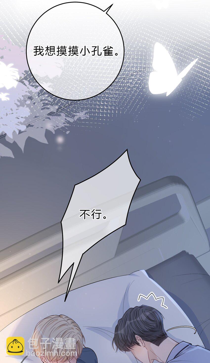 085 番外&middot;我想摸摸小孔雀-第86话