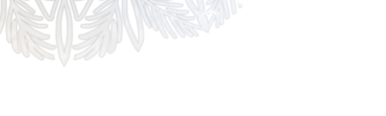 第11话 想守护你(1/4)-第12话