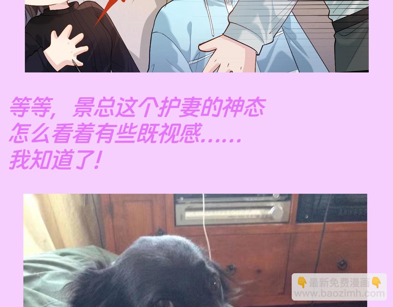 第13期 整活企划：犬系&times;猫系，谁还没磕-第40话