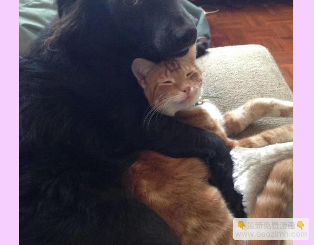 第13期 整活企划：犬系&times;猫系，谁还没磕-第40话