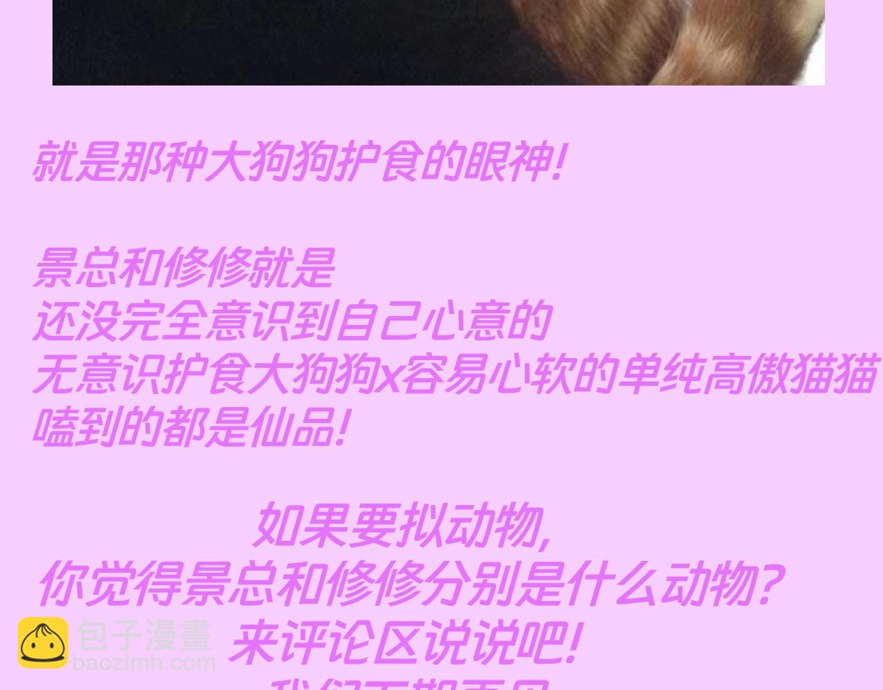 第13期 整活企划：犬系&times;猫系，谁还没磕-第40话