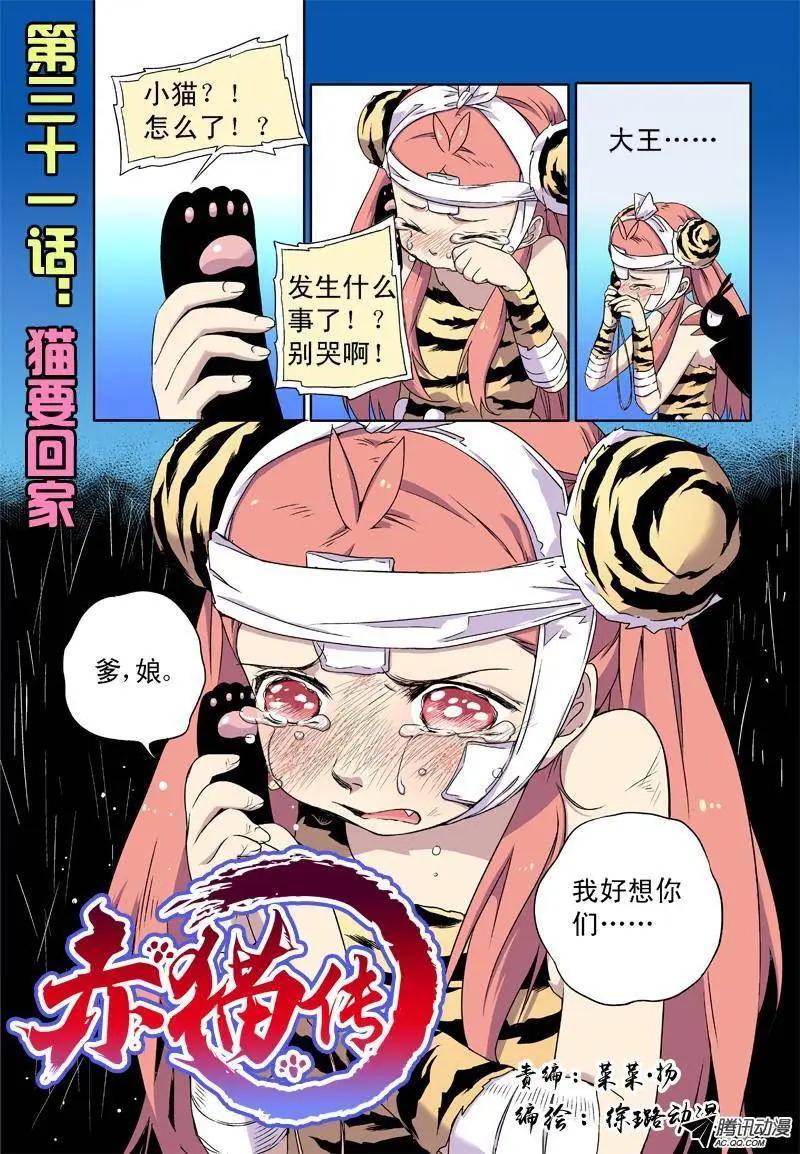 第31回 猫要回家！-第30话