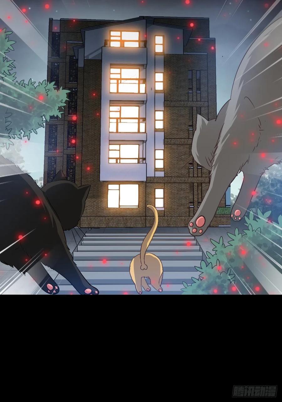 109 野猫杀手（4）-第120话