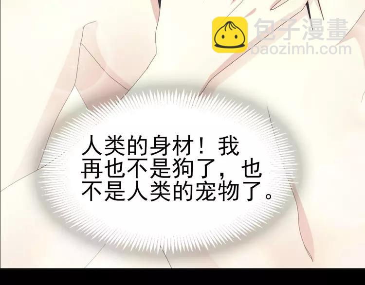 075 黑狼的选择（上）(1/4)-第80话