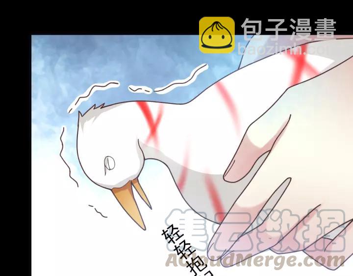 092 小白鸭（1）(1/2)-第100话