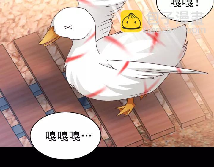 092 小白鸭（1）(1/2)-第100话