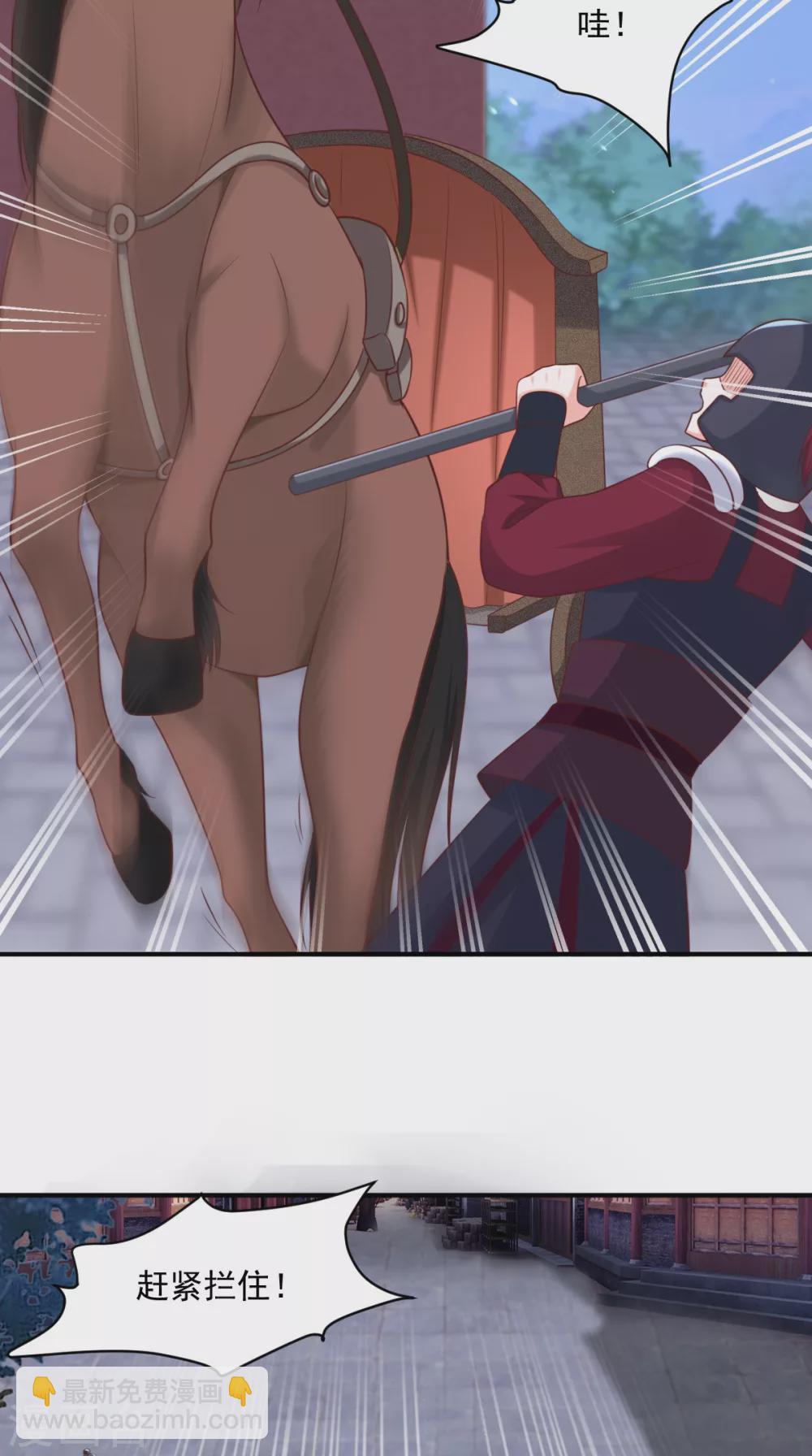 癡傻毒妃不好惹 - 第157話 說王妃，王妃到！ - 6