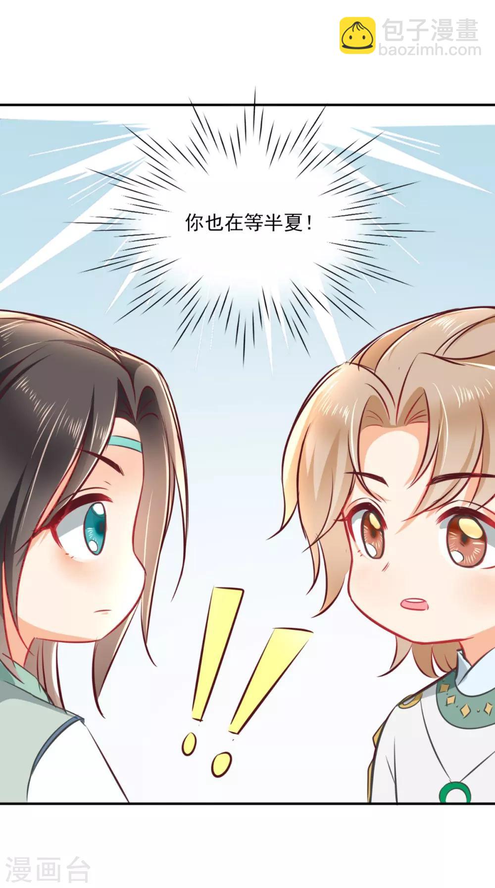 癡傻毒妃不好惹 - 番外 等待半夏 - 3