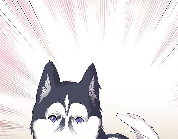 寵妻成癮：陸少的心尖寵 - 第13話：傳說中的陸傲天(3/3) - 3