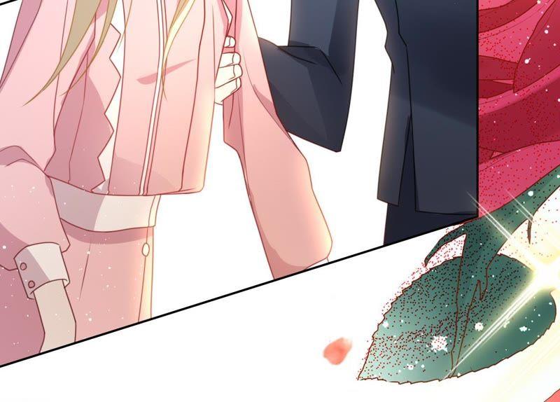 寵妻狂魔：百萬千金要淪陷 - 第100話 爲你種的玫瑰(2/2) - 5