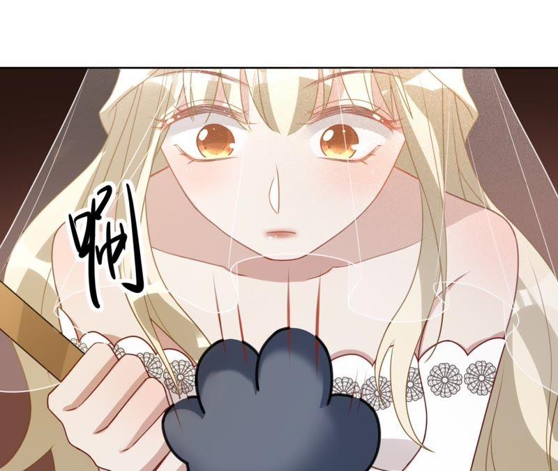 寵妻狂魔：百萬千金要淪陷 - 第114話 喜歡吃蛋糕嗎？(2/2) - 4