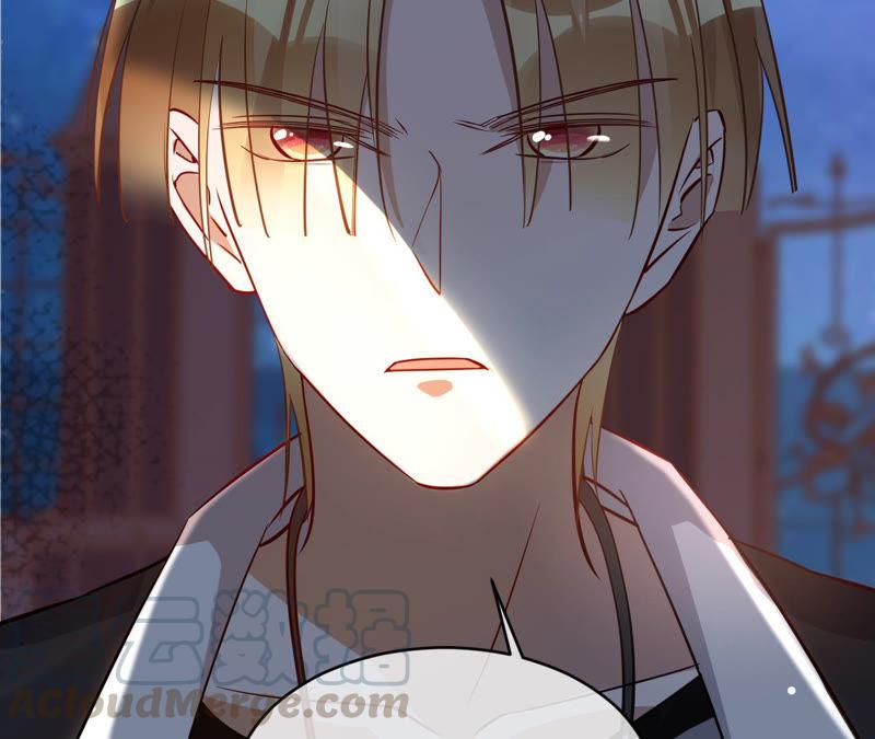 寵妻狂魔：百萬千金要淪陷 - 第124話 我只要她(2/2) - 1