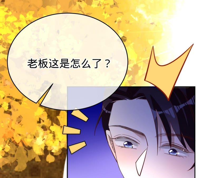 寵妻狂魔：百萬千金要淪陷 - 第184話 哪個孫子比我重要(1/2) - 1