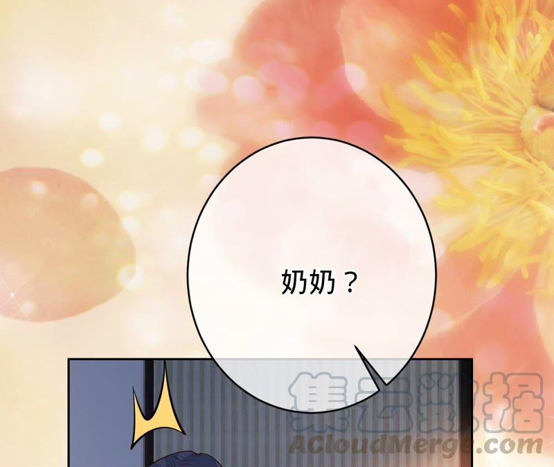 寵妻狂魔：百萬千金要淪陷 - 第194話 風光歸國(1/2) - 5