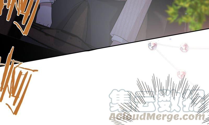 寵妻狂魔：百萬千金要淪陷 - 第194話 風光歸國(2/2) - 3