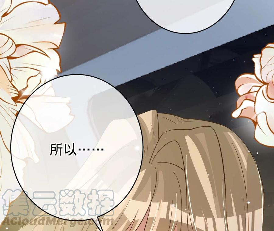 寵妻狂魔：百萬千金要淪陷 - 第202話 開車不如開飛機(2/2) - 1