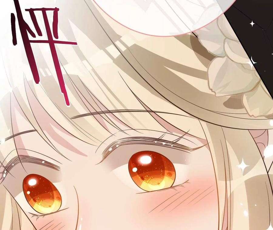 寵妻狂魔：百萬千金要淪陷 - 第228話 我反對這場婚禮(1/2) - 3