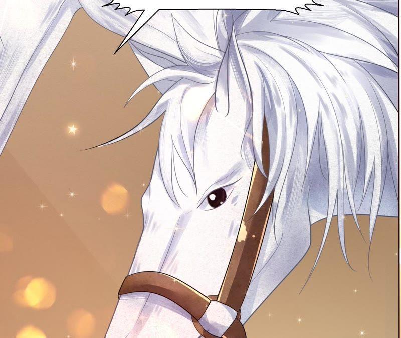 寵妻狂魔：百萬千金要淪陷 - 第42話 敢和我比一場嗎？ - 7