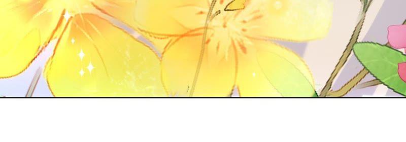 寵妻狂魔：百萬千金要淪陷 - 第66話 童話裡的王子和公主(2/2) - 7