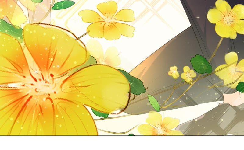 寵妻狂魔：百萬千金要淪陷 - 第66話 童話裡的王子和公主(2/2) - 1