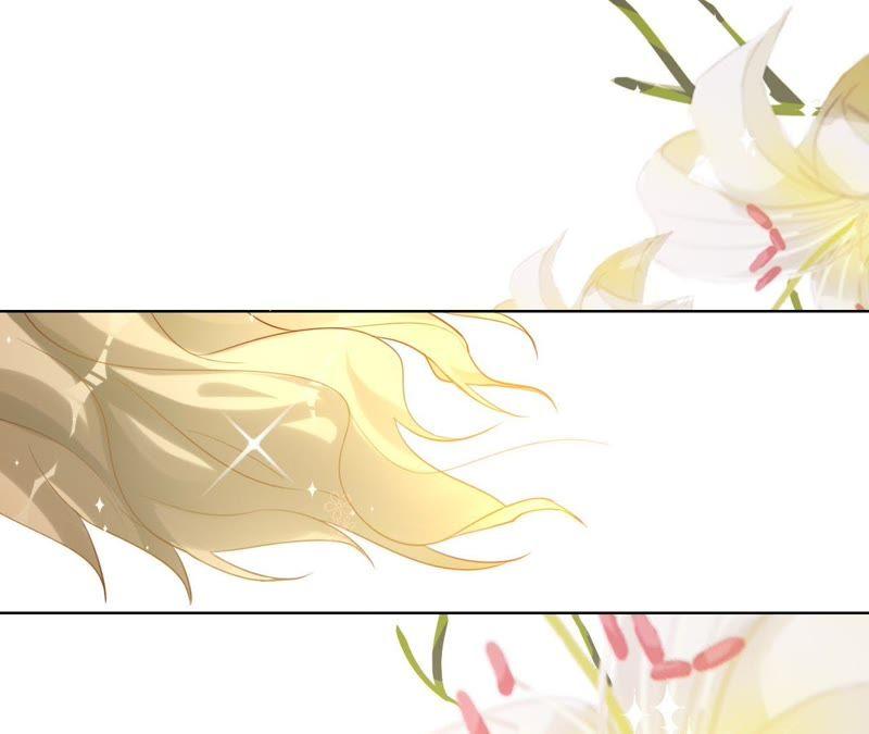 寵妻狂魔：百萬千金要淪陷 - 第66話 童話裡的王子和公主(2/2) - 2