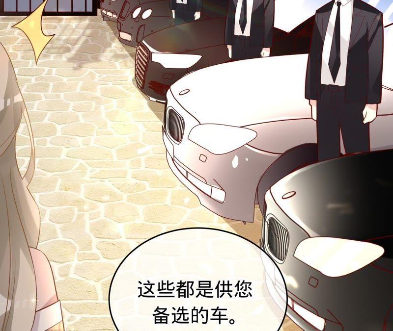 寵妻狂魔：百萬千金要淪陷 - 第68話 這些都是少爺吩咐的(1/2) - 4