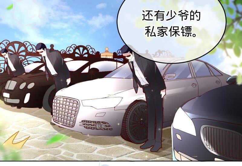 寵妻狂魔：百萬千金要淪陷 - 第68話 這些都是少爺吩咐的(1/2) - 6