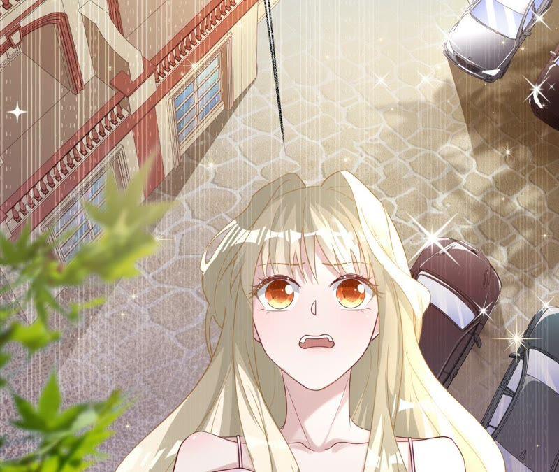 寵妻狂魔：百萬千金要淪陷 - 第68話 這些都是少爺吩咐的(1/2) - 6