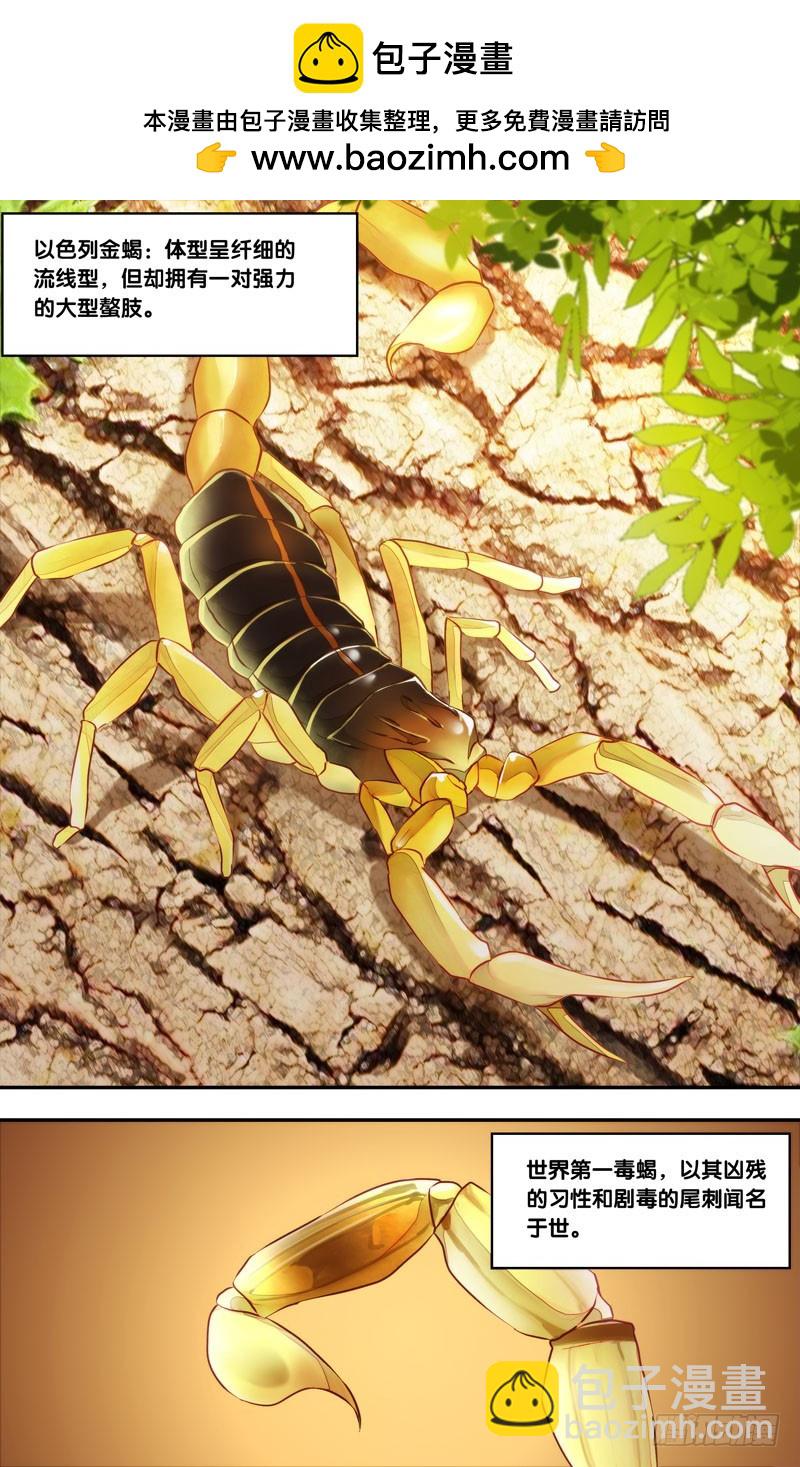 78.游戏结束-第80话