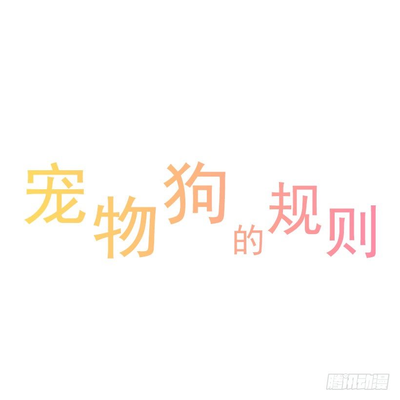 寵物狗的規則 - 試試吧 - 1