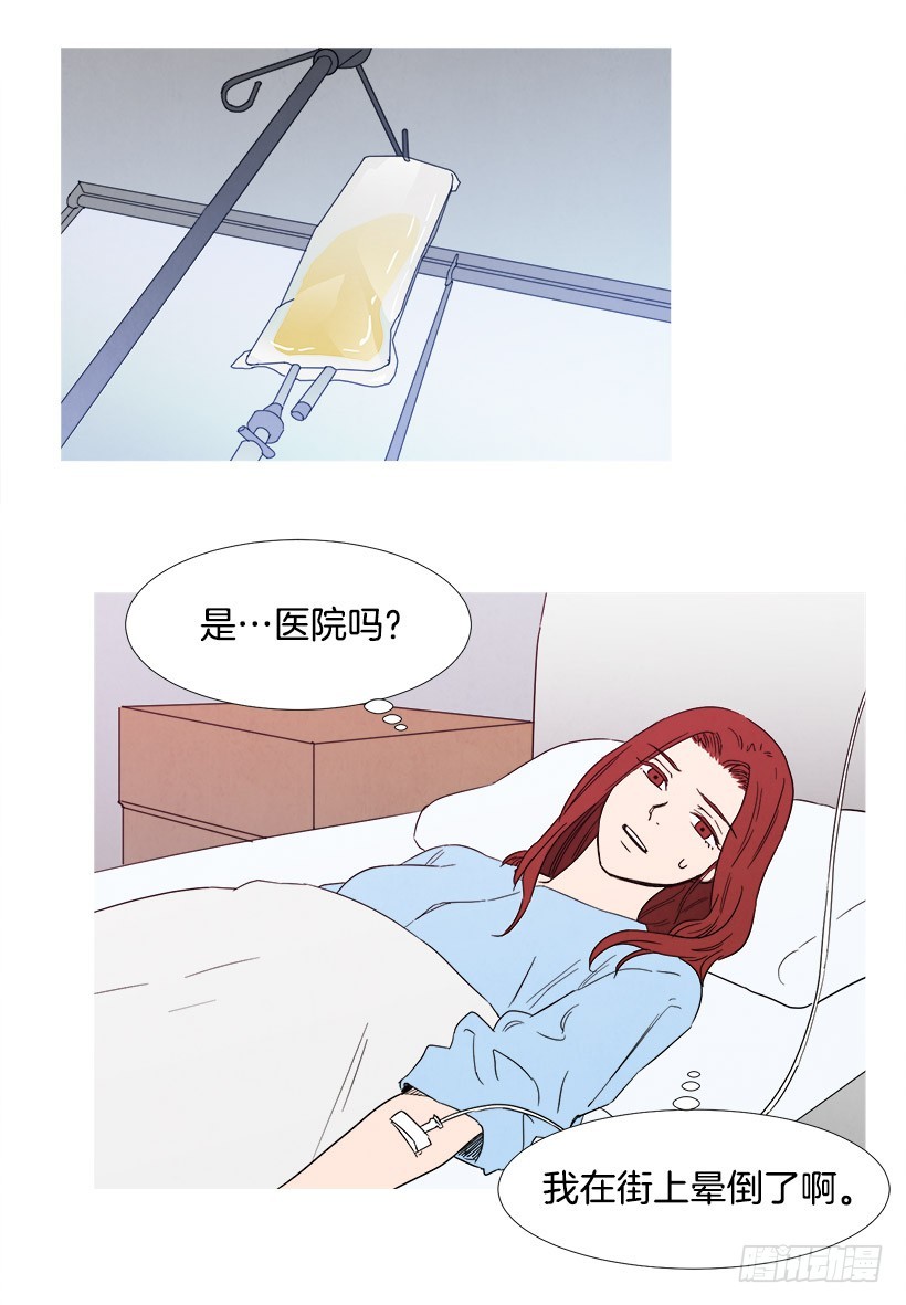 寵物狗的規則 - 守護 - 4