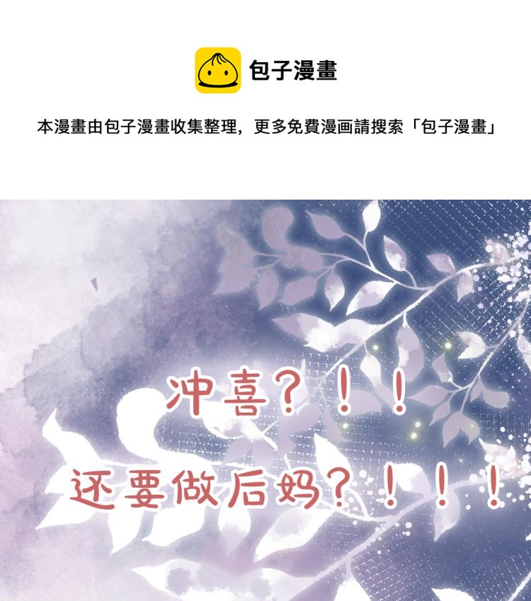 序章 逃婚王妃vs冷酷夫君-第2话