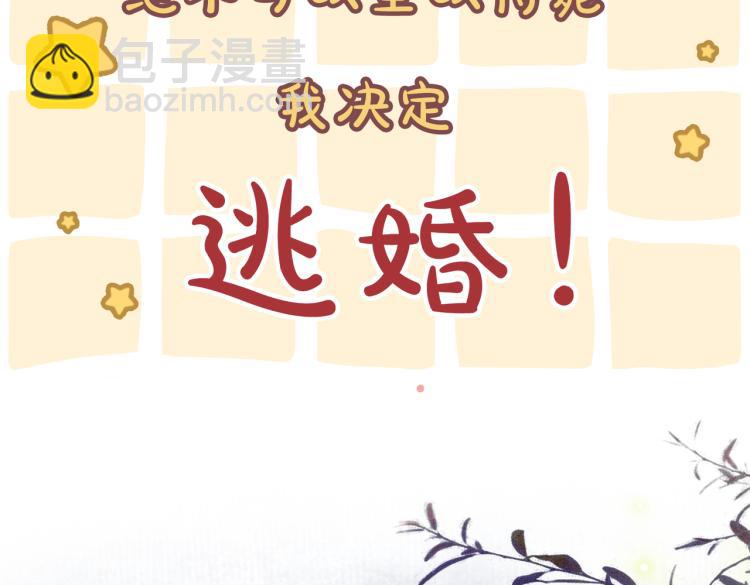 序章 逃婚王妃vs冷酷夫君-第2话