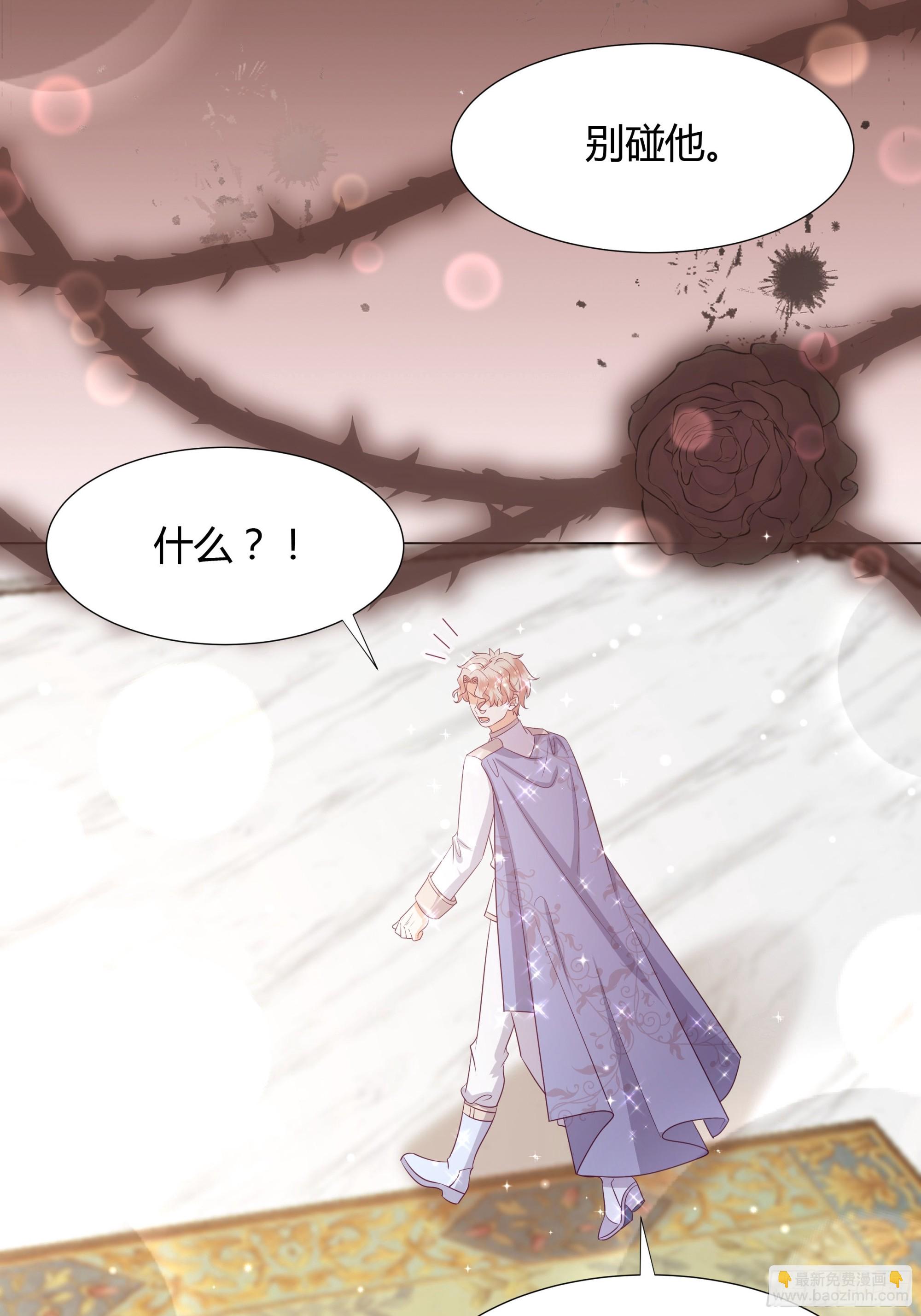 仇敵之子總是撩我怎麼辦？ - 43 忠心的侍衛長 - 3